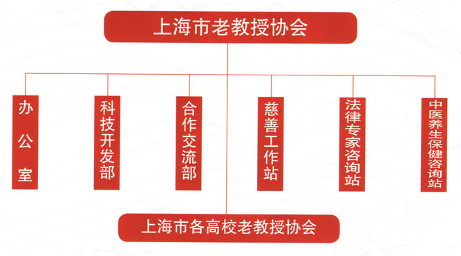 协会组织构架